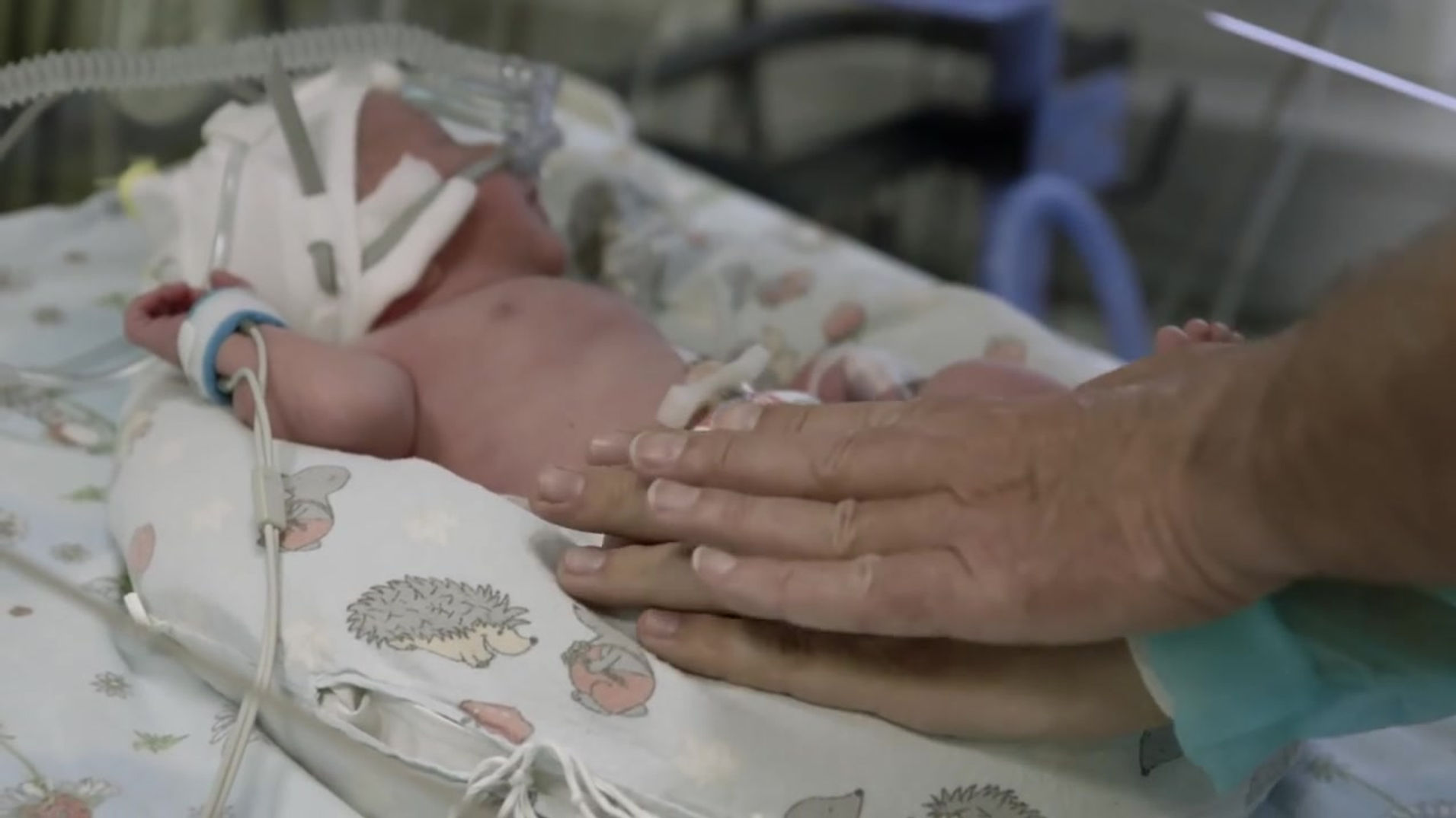 Moje 600 gramów szczęścia – opowieść o tym co najcenniejsze.